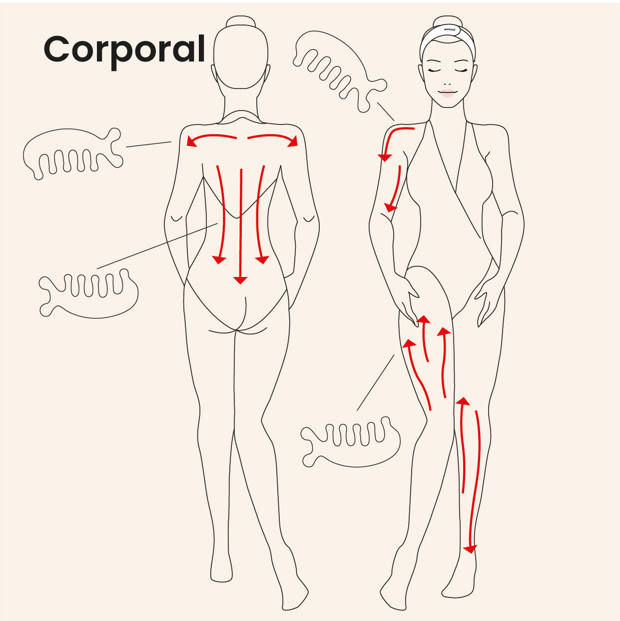 Dolphin Gua Sha (Masajeador facial y corporal)